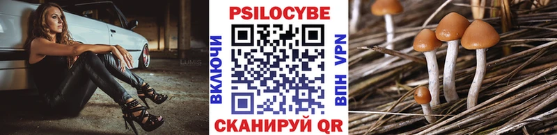 Псилоцибиновые грибы прущие грибы  MEGA зеркало  Нестеровская  как найти закладки 